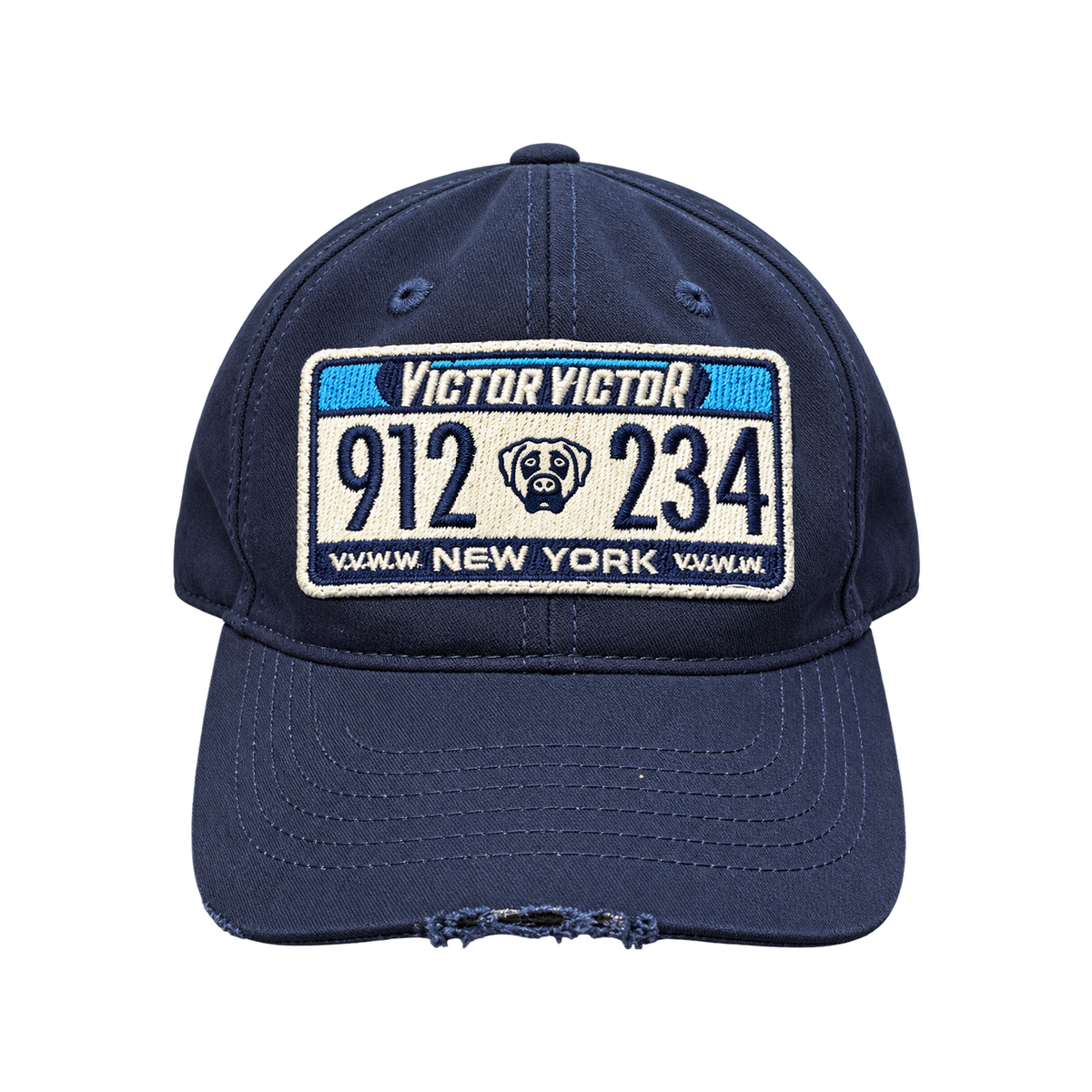 DISTRESSED PLATE HAT