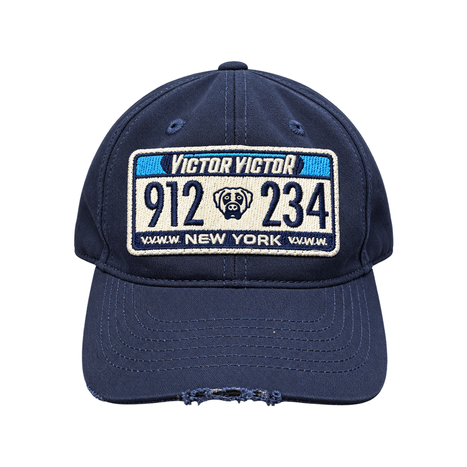 DISTRESSED PLATE HAT – VICTOR VICTOR WORLDWIDE