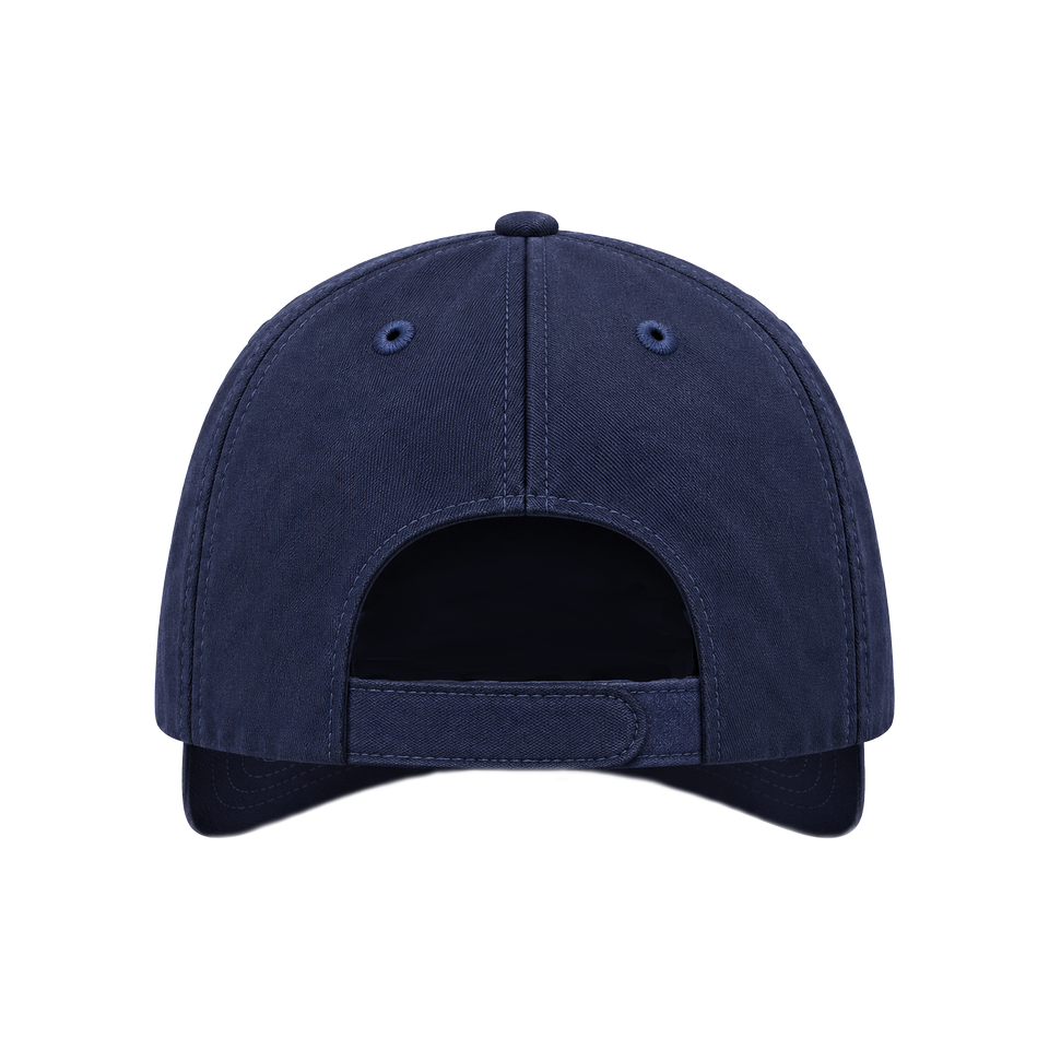 DISTRESSED PLATE HAT – VICTOR VICTOR WORLDWIDE