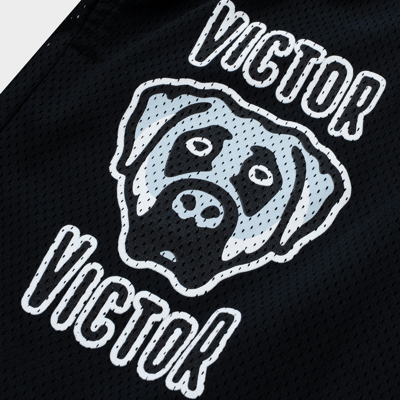 VICTOR VICTOR WORLDWIDE