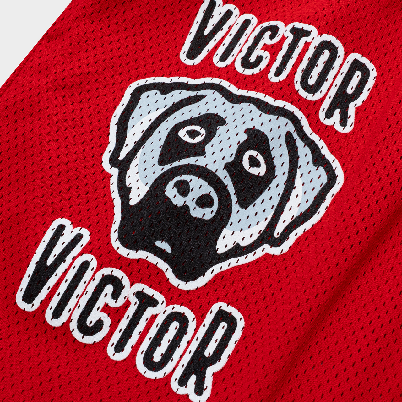VICTOR VICTOR WORLDWIDE