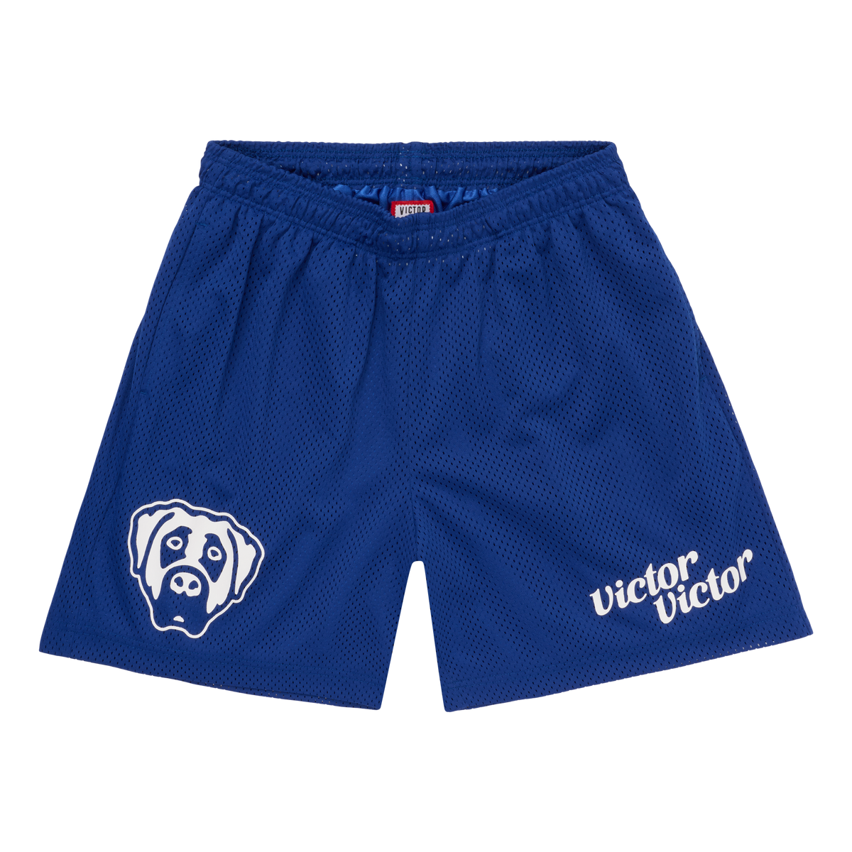 MESH SHORTS (BLUE)