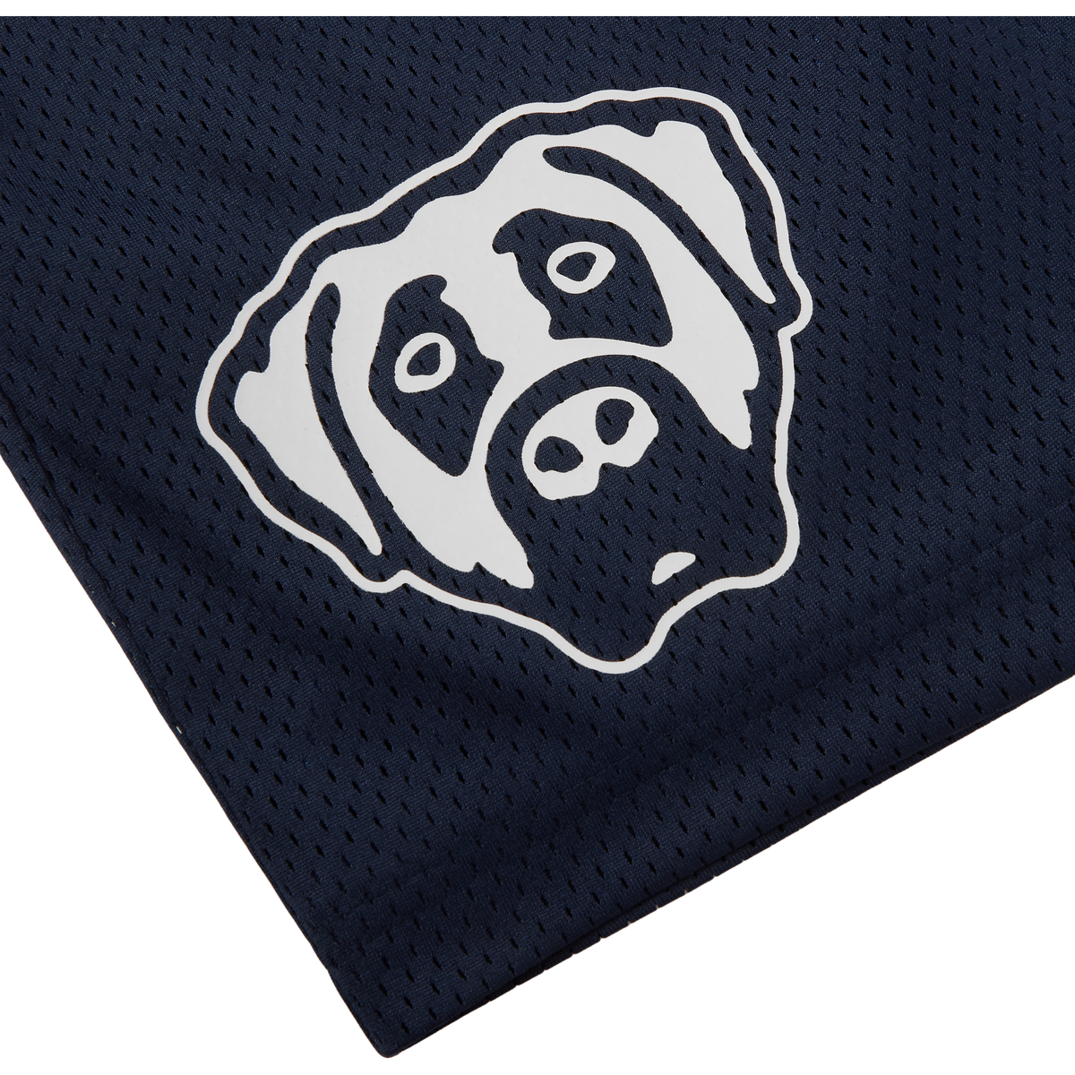 MESH SHORTS (NAVY)