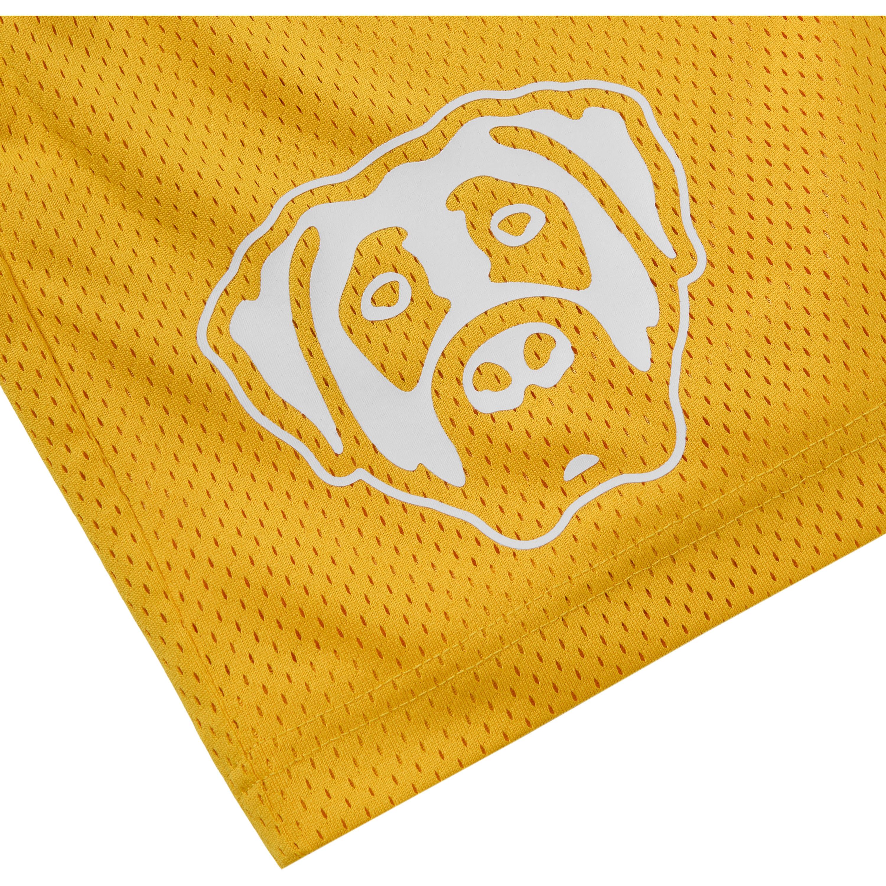 MESH SHORTS (YELLOW)