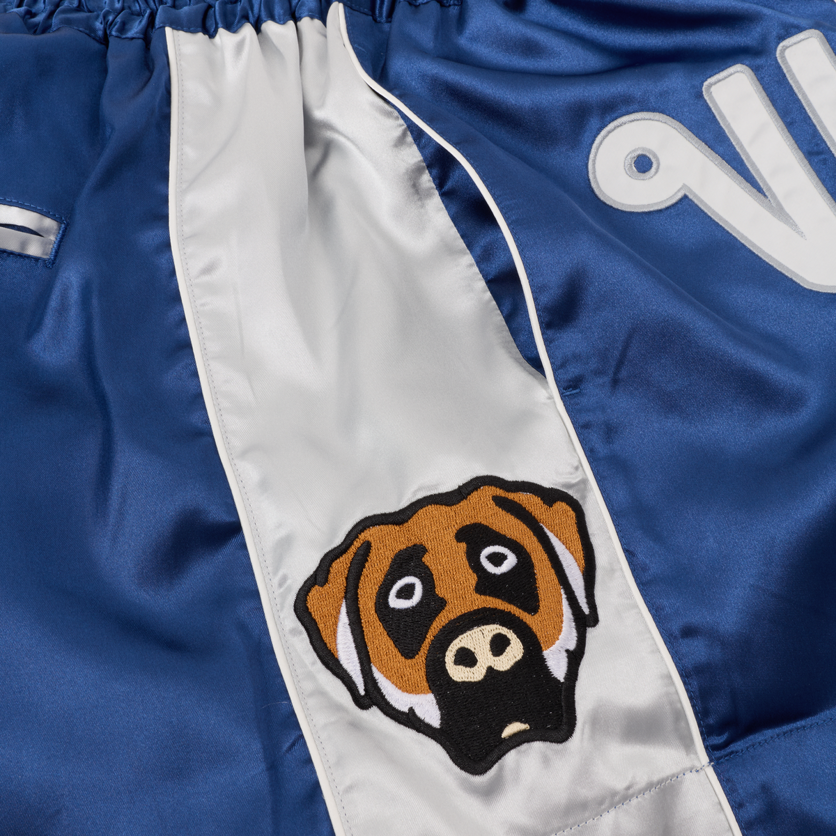 VV MUAY THAI SHORTS (BLUE)